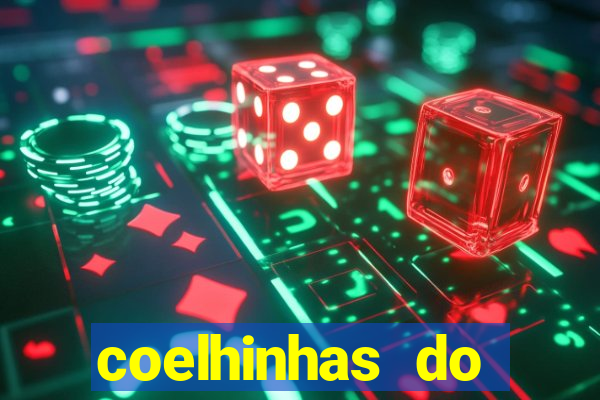 coelhinhas do brasil acompanhantes